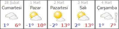 5 Günlük Hava Tahmini