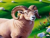 Koc burcu yorumları