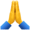 🙏