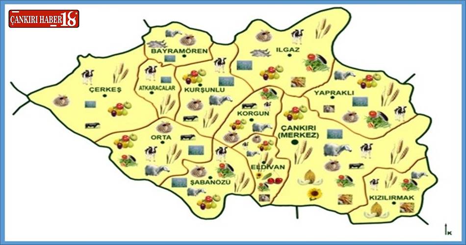 Çankırı İlçe haritası