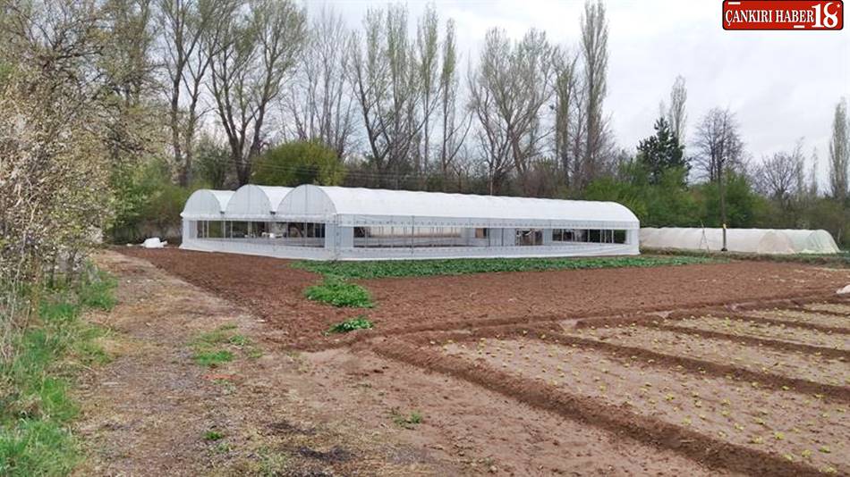 Çankırı İl Tarım ve Orman Müdürlüğü