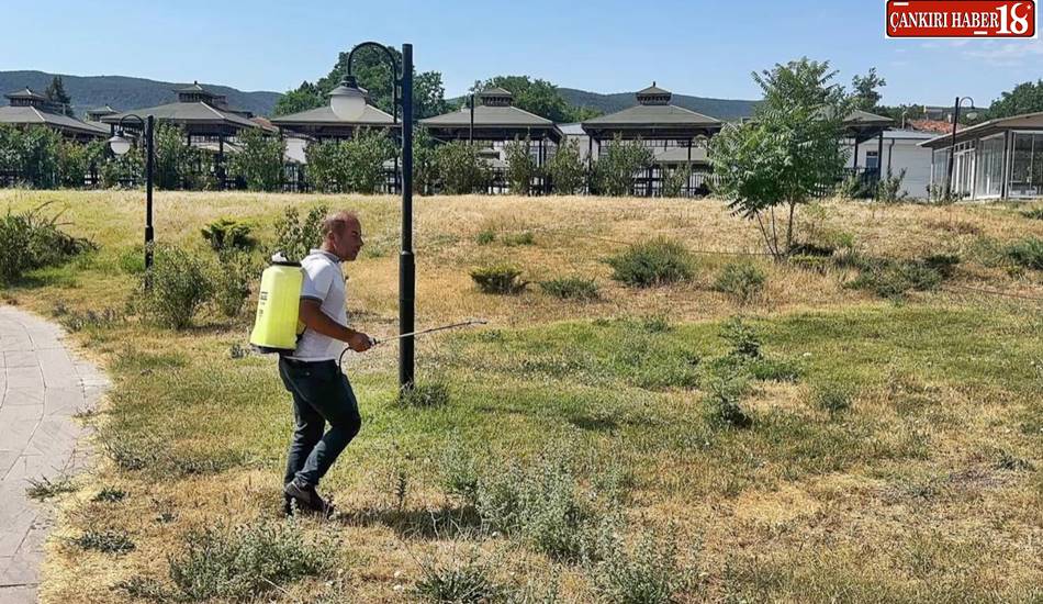 Çankırı Eldivan Belediyesi’nden Kenelere Karşı Etkin Mücadele