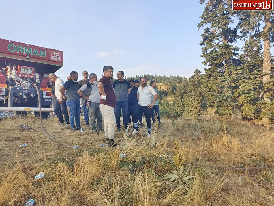 Çankırı Yapraklı Orman Yangını Çankırı Valisi Mustafa Fırat Taşolar ile Yapraklı Kaymakamı M. İbrahim Tiyek