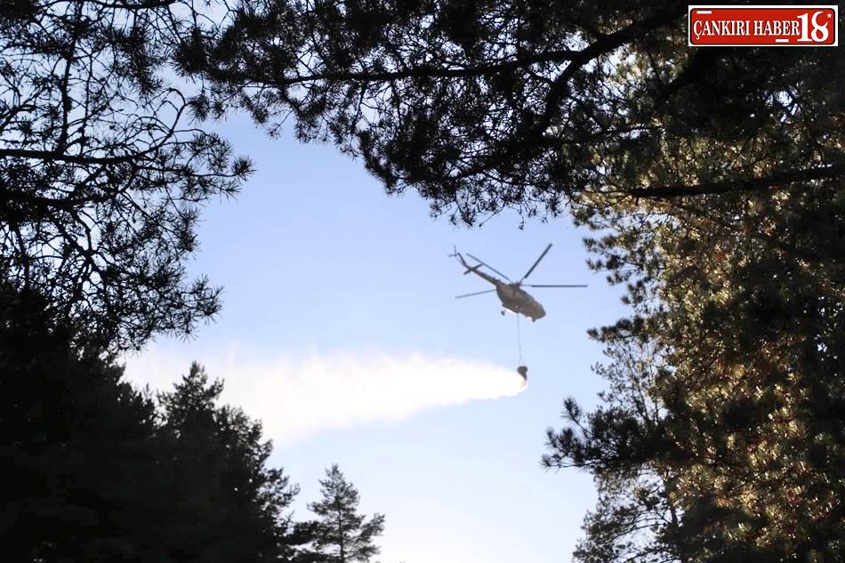 Çankırı Atkaracalar Atkaracalar haberleri Atkaracalar orman Yangını Atkaracalar Hüyük