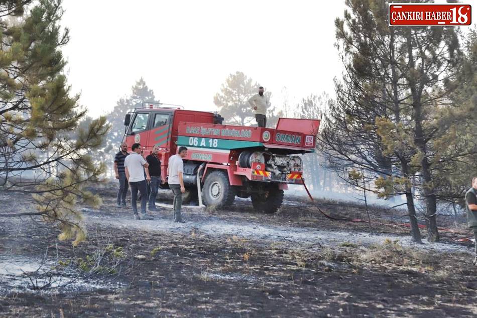 Çankırı Atkaracalar Atkaracalar haberleri Atkaracalar orman Yangını Atkaracalar Hüyük