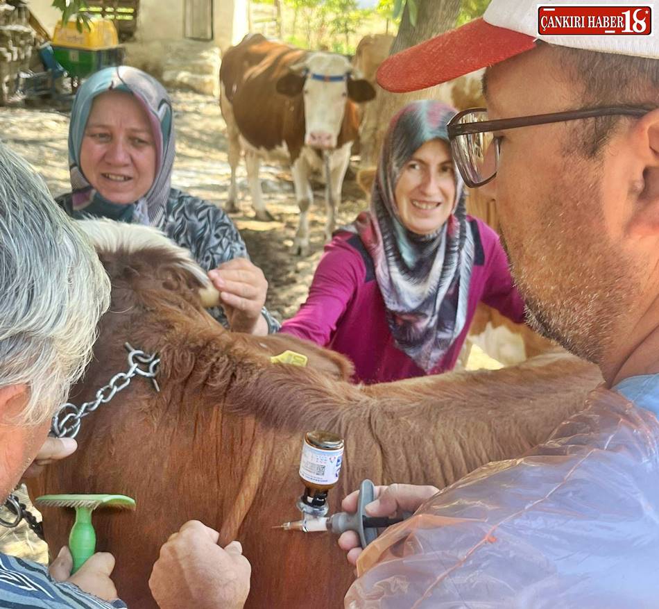 Çankırı İl Tarım ve Orman Müdürlüğü, Çankırı Hayvan Aşılama, Çankırı Şap,