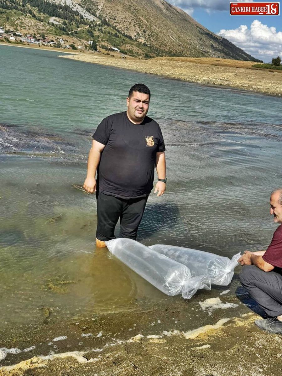 çankırı ılgaz balık  göletler Kuyupınar ve Kırkpınar Göletlerine 