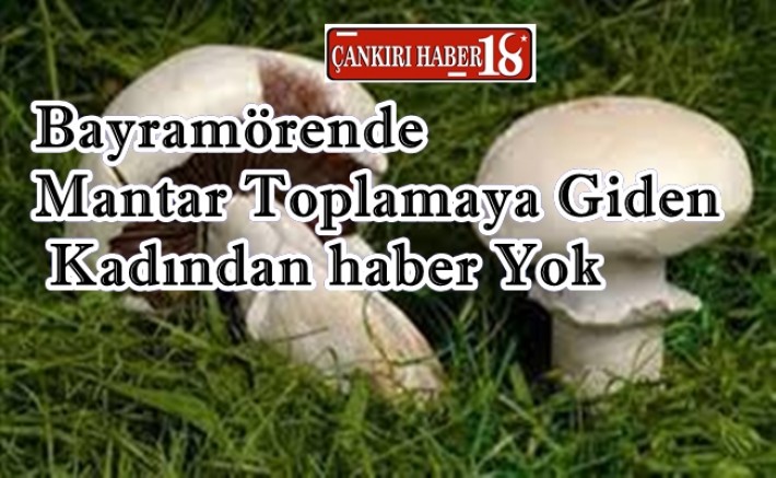 Çankırı Bayramören Haberleri