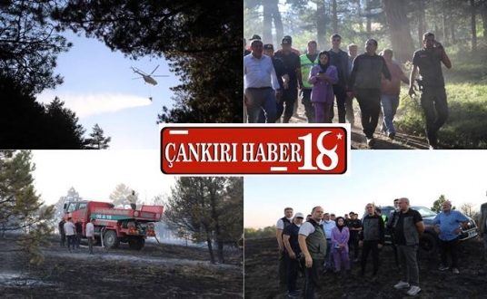 Çankırı Atkaracalar’da Çıkan Orman Yangını Söndürüldü