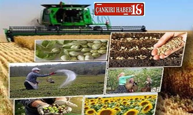 Çankırı haber, Çankırı’da Çiftçilere 601 Milyon TL’yi Aşan Destek