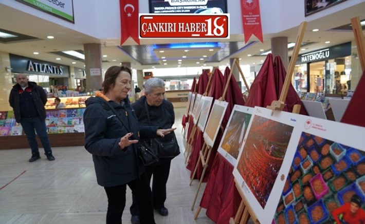 Çankırı Valilik Haberleri