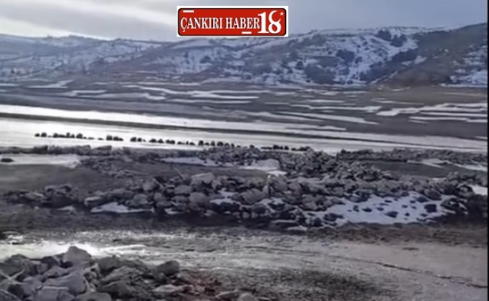 Çankırı Orta Haberleri