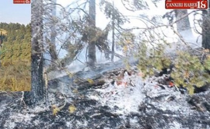 Çankırı Kurşunlu Haberleri