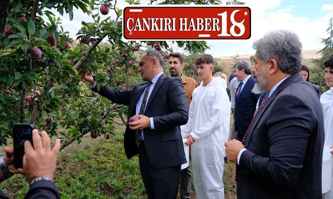 Çankırı Valisi Hüseyin Çakırtaş, Tarım Lisesinde Öğrencilerle Elma Hasadına Katıldı