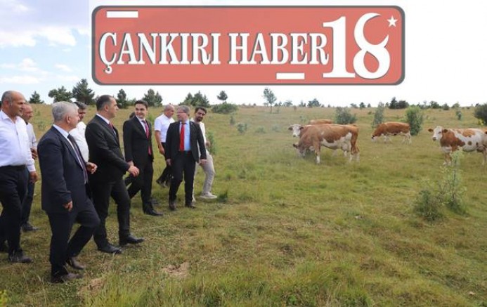 Çankırı Valisi M. Fırat Taşolar Müsellim köyünü ziyaret etti, Çankırı haber, Çankırı haberleri, image, Çankırı haber18, Çankırı