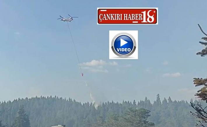 Çankırı Yapraklı'da Orman Yangını, Çankırı haber, Çankırı haberleri, image, Çankırı haber18, Çankırı