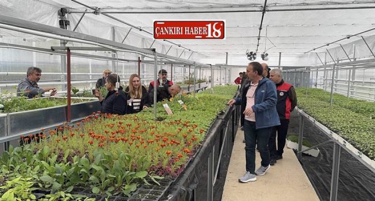 IFAD Destek Misyonu Çankırı'da Uygulanan Projeleri Ziyaret etti - Çankırı haber