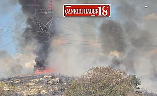Çankırı Korgun’da Geniş Çaplı Arazi Yangını Çankırı haber