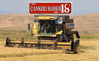 ÇankırıÇankırı çeltik üretiminde Türkiye'de 6'ncı sırada, Çankırı