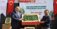 Çankırı’da 2026 Yılı Tüplü Sebze Fideleri Dağıtıldı