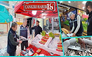 ÇankırıÇankırı’da Balık Satış Yerleri Denetlendi, Çankırı