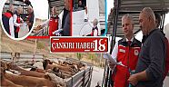 Çankırı da Hayvan Hareketleri 7/24 Denetleniyor