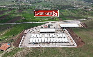 ÇankırıÇankırı’da Hayvan Pazarları Yeniden Açıldı, Çankırı