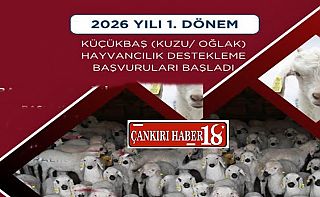 Çankırı’da Küçükbaş Hayvancılık Destekleme Başvuruları Çankırı haber