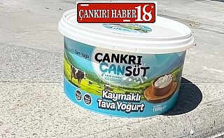Çankırı’nın Kaymaklı Tava Yoğurdu üretimine başladı Çankırı haber