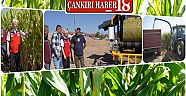 Çankırı ÇERKEŞ Haberleri haber