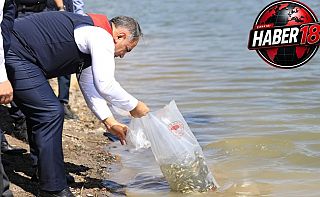 Çankırı Valisi Hüseyin Çakırtaş, Balıkları Gölette Bıraktı Çankırı haber