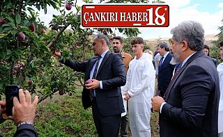 ÇankırıÇankırı Valisi Hüseyin Çakırtaş, Tarım Lisesinde Öğrencilerle Elma Hasadına Katıldı, Çankırı