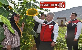 Çankırı Yapraklı’da Kırsal Kalkınma Meyvelerini Veriyo