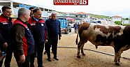 Valisi Hüseyin Çakırtaş Kurban Pazarında İncelemelerde Bulundu